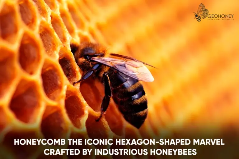 Close-up of honeycomb structure, showcasing hexagonal cells crafted by honeybees using honey wax.